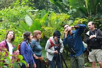 Guided Rainforest Walk in Sarapiqui